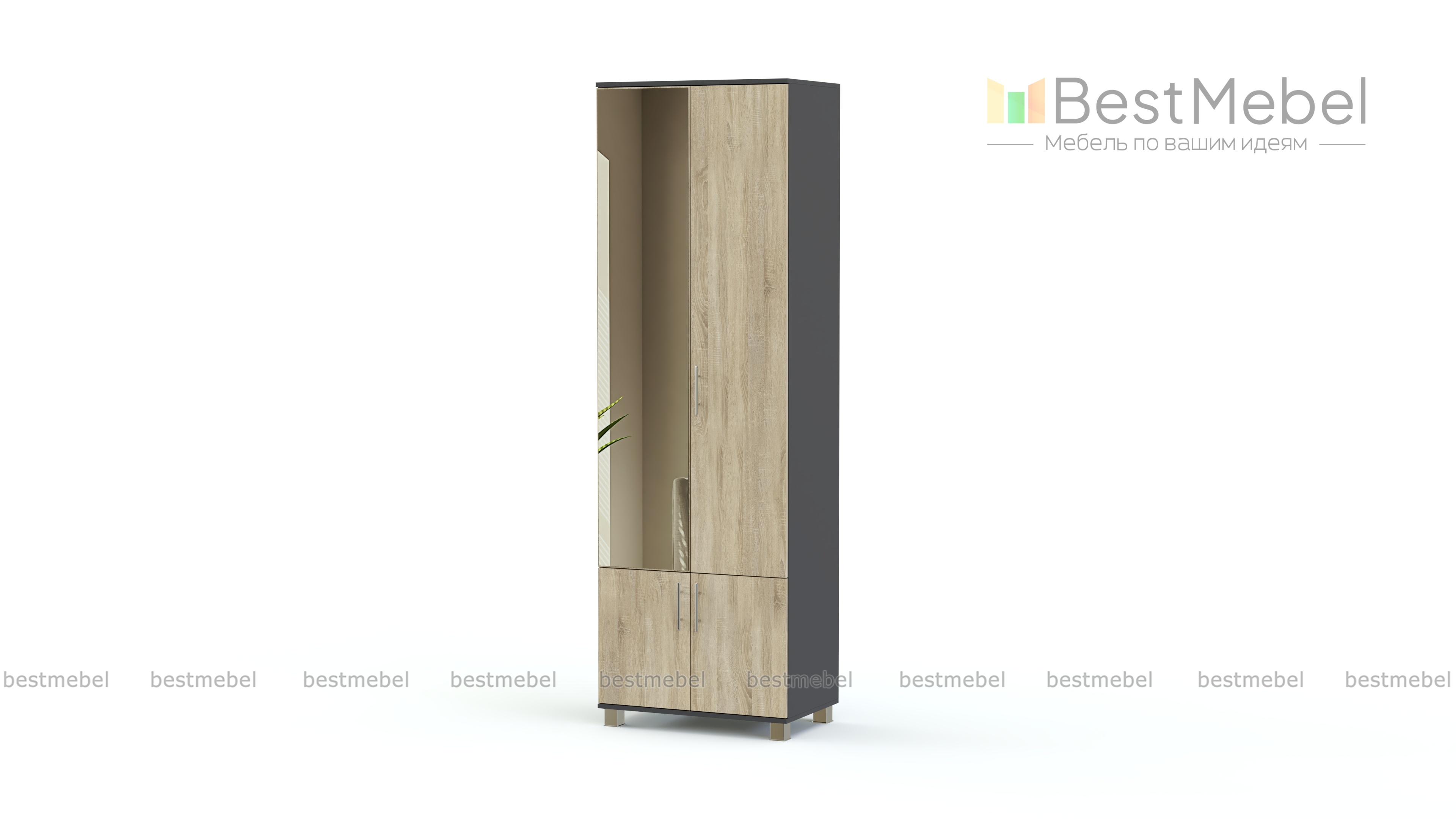 Шкаф Карина 2-х створчатый с зеркалом К22 BMS