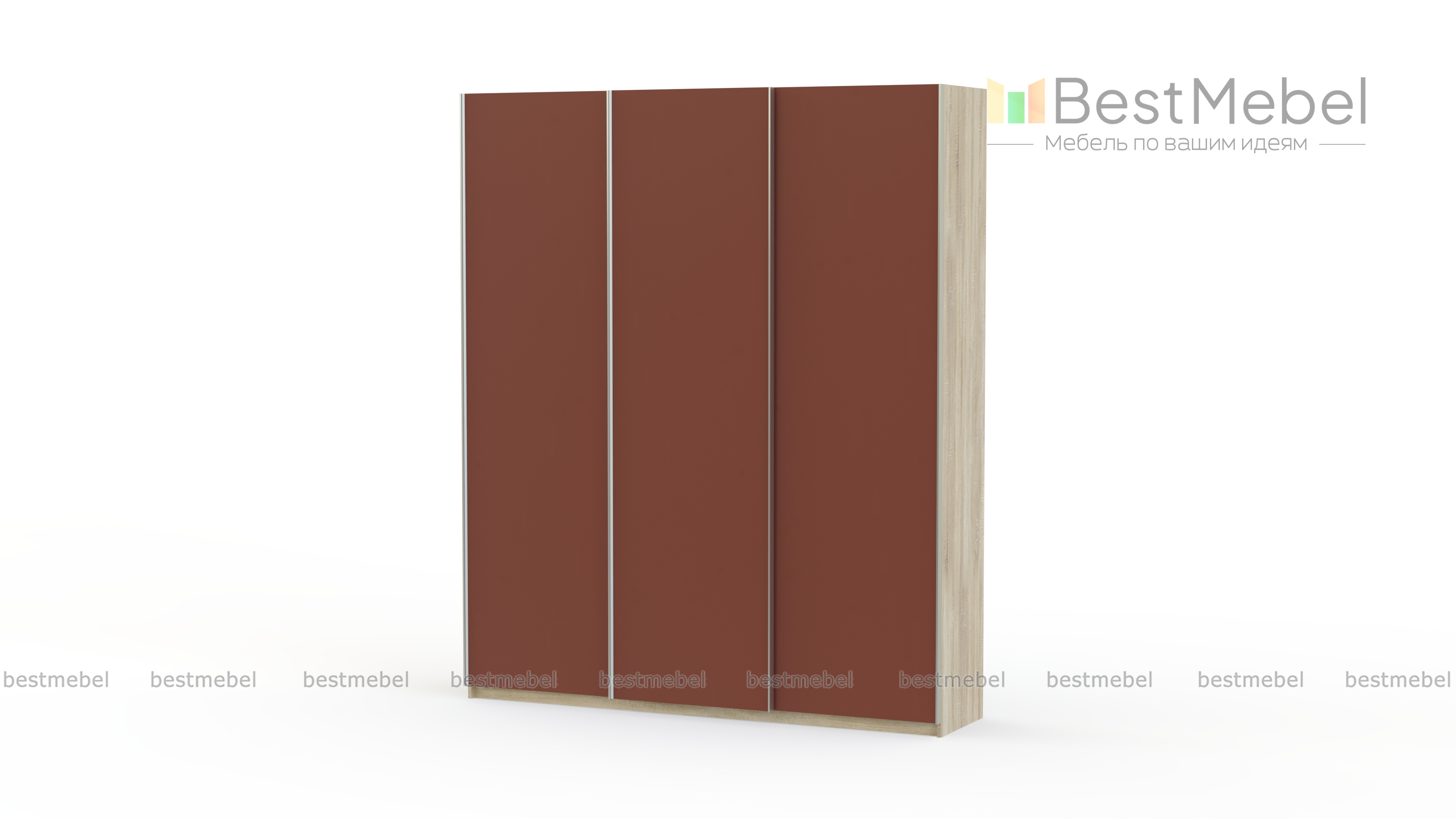 Шкаф-купе Редл BMS